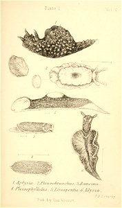 n274_w1150