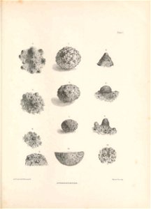 n28_w1150
