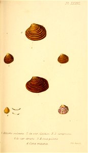 n362_w1150