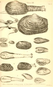 n408_w1150