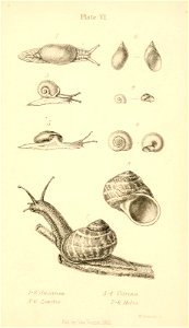 n474_w1150