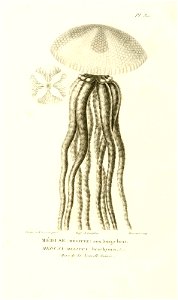 n387_w1150
