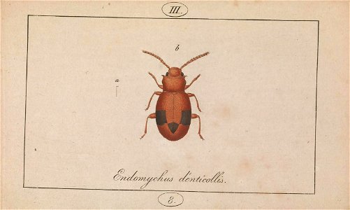 n258_w1150