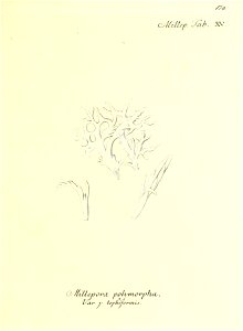 n242_w1150