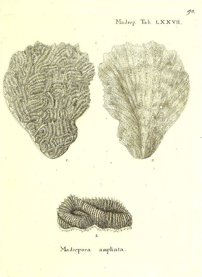 n182_w1150