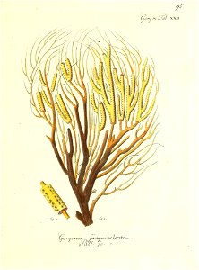 n192_w1150