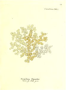 n102_w1150