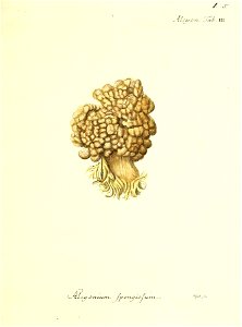 n12_w1150