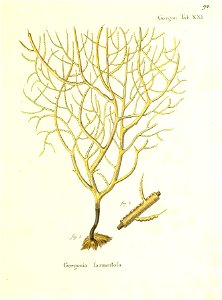 n190_w1150