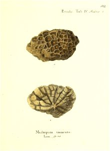 n208_w1150