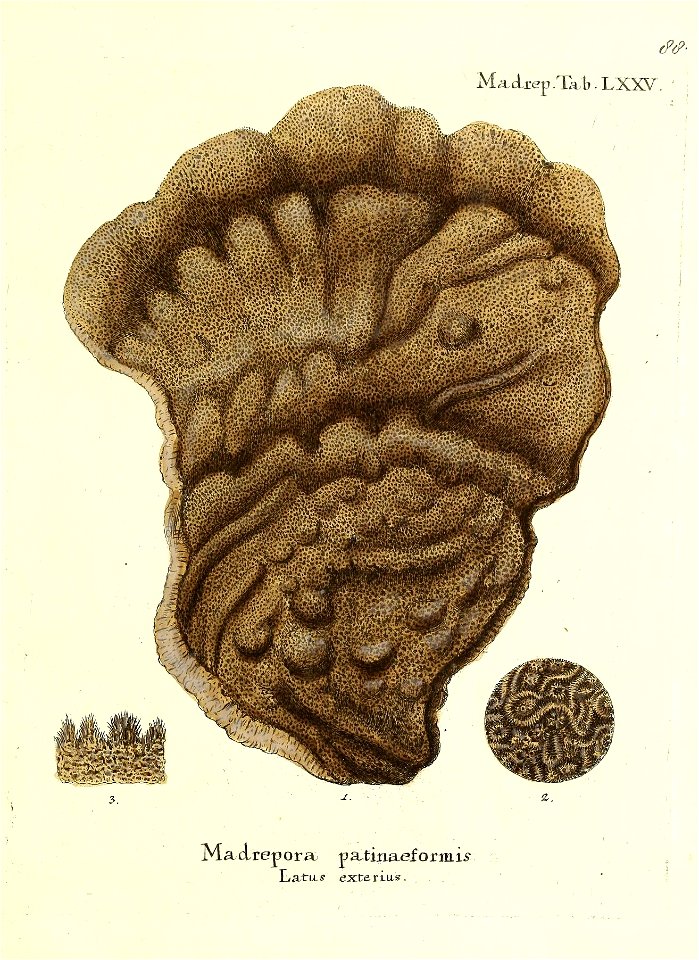 n178_w1150
