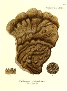 n178_w1150