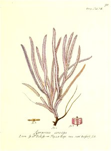 n158_w1150