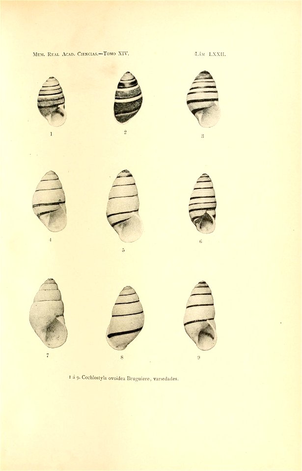 n152_w1150