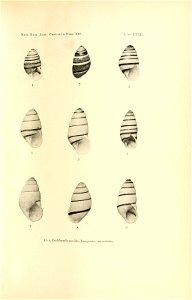 n152_w1150