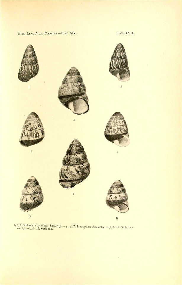 n122_w1150