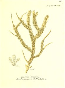 n184_w1150