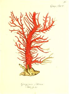 n154_w1150