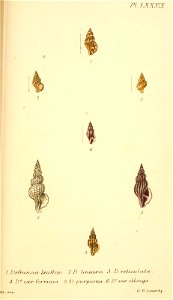 n466_w1150