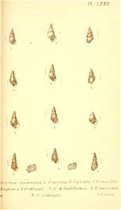 n436_w1150