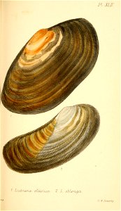 n376_w1150
