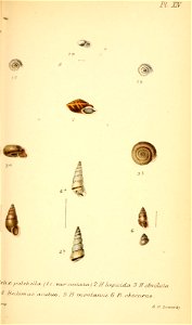 n316_w1150