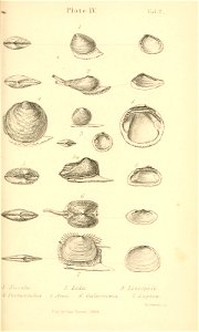 n494_w1150