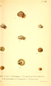 n314_w1150