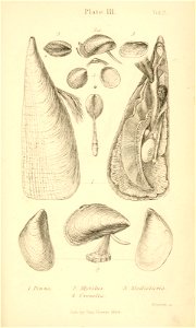 n492_w1150