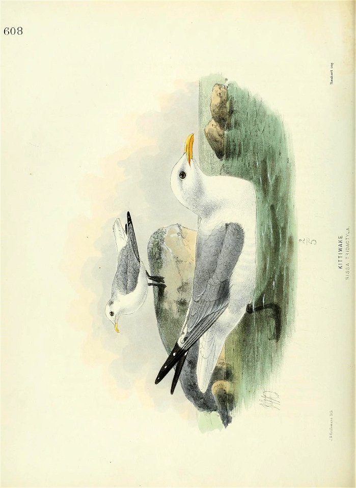 n591_w1150