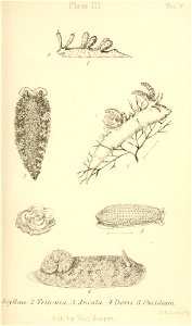 n278_w1150