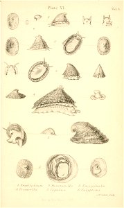 n414_w1150