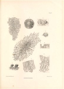 n36_w1150