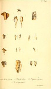 n396_w1150
