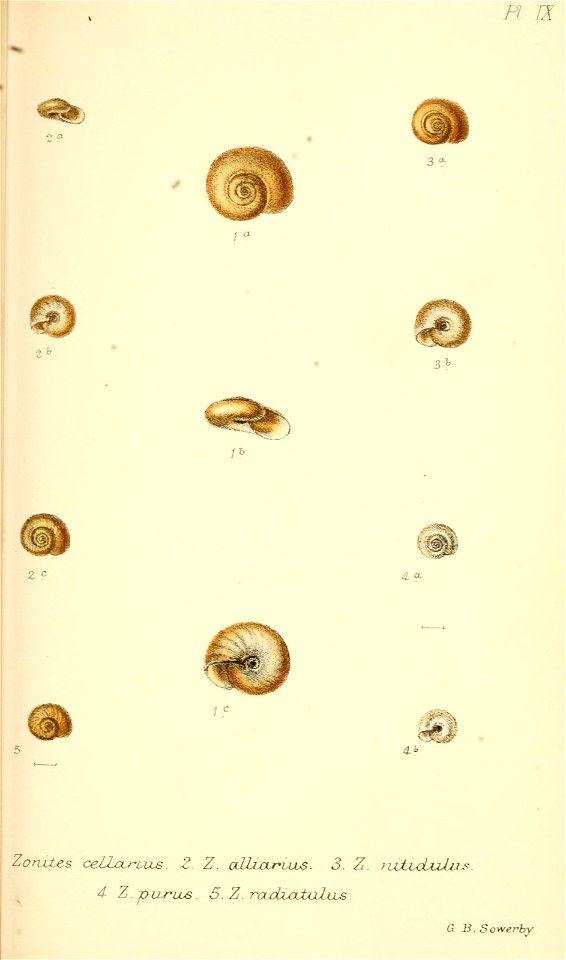 n306_w1150