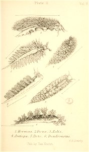 n276_w1150