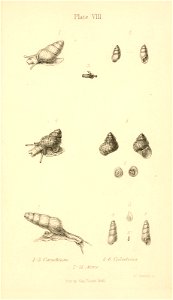 n478_w1150