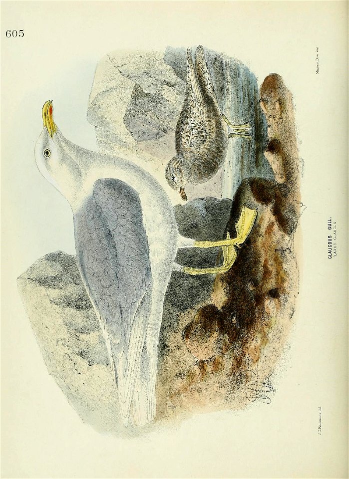 n571_w1150