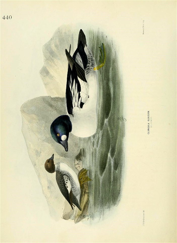 n763_w1150