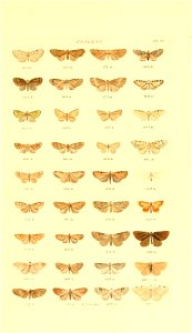 n236_w1150