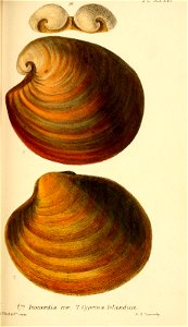 n360_w1150