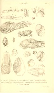 n512_w1150