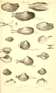 n406_w1150