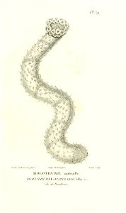 n384_w1150
