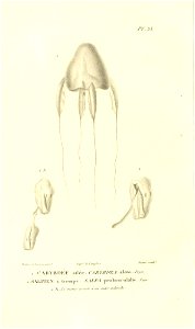 n161_w1150