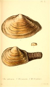 n388_w1150