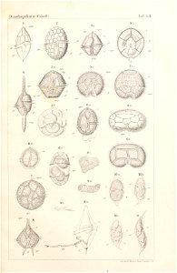 n58_w1150