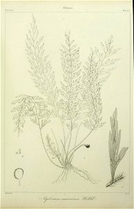n234_w1150