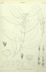 n144_w1150