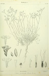 n112_w1150
